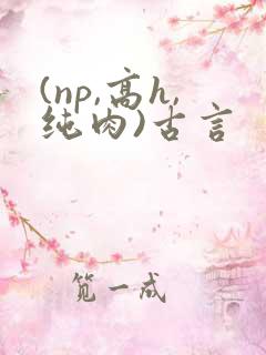 (np,高h,纯肉)古言
