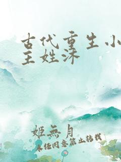 古代重生小说女主姓沐