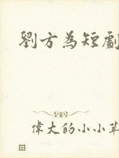 刘方为短剧演员