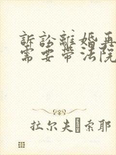 诉讼离婚再婚时需要带法院判决书吗