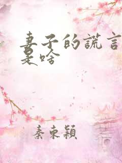 妻子的谎言讲的是啥