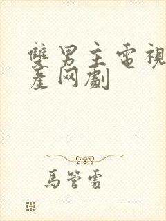 双男主电视剧国产网剧