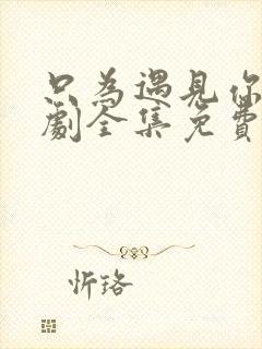 只为遇见你电视剧全集免费观看