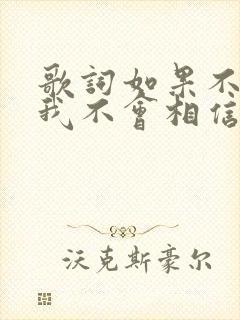 歌词如果不是你我不会相信