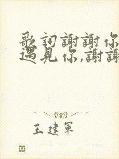 歌词谢谢你让我遇见你,谢谢你让我爱上你