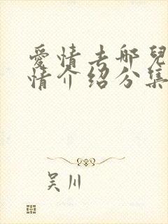 爱情去哪儿了剧情介绍分集