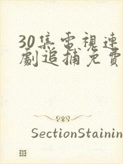 30集电视连续剧追捕免费观看