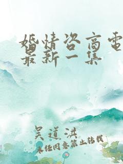 婚情咨商电视剧最新一集