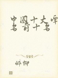 中国十大啤酒排名 前十名