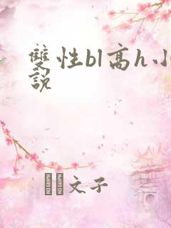 双性bl高h小说