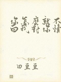 你怎么就不能明白我对你情深似海歌词