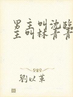 男主叫沈临川女主叫林青青的小说