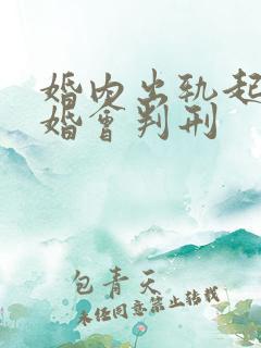 婚内出轨起诉离婚会判刑