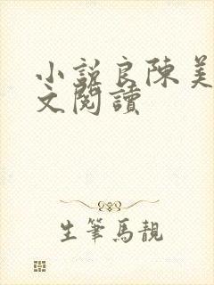 小说良陈美锦全文阅读