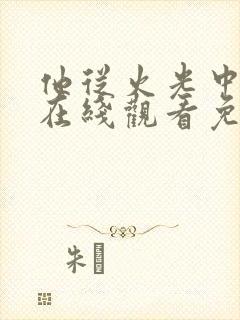 他从火光中走来在线观看免费完整版电视剧