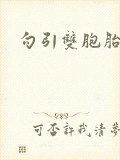 勾引双胞胎弟弟