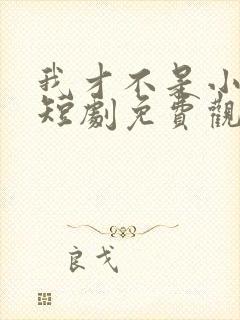 我才不是小可怜短剧免费观看全集