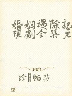 婚姻遇险记 电视剧全集免费观看