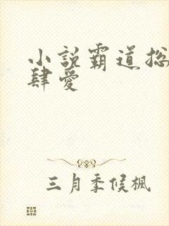 小说霸道总裁放肆爱