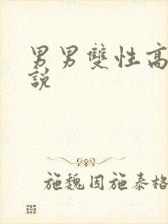 男男双性高嗨小说