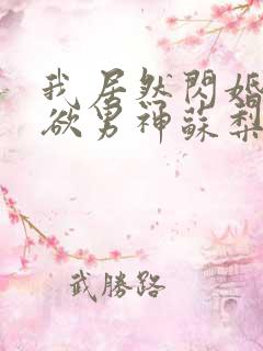 我居然闪婚了禁欲男神苏梨