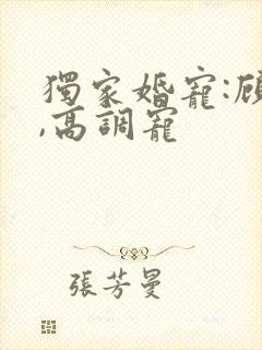 独家婚宠:顾少,高调宠