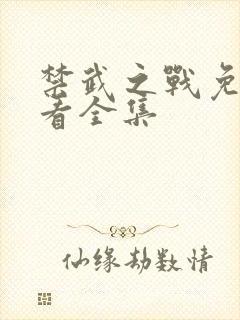 禁武之战免费观看全集