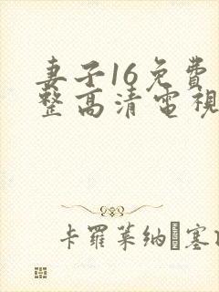 妻子16免费完整高清电视剧看