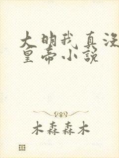 大明我真没想当皇帝小说