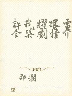 许我耀眼电视剧全集剧情介绍大结局