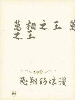 万相之王 万相之王