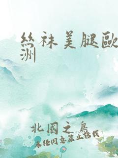 丝袜美腿欧美亚洲