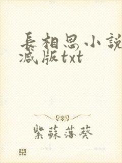 长相思小说无删减版txt