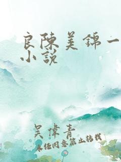 良陈美锦一样的小说