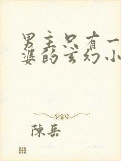 男主只有一个老婆的玄幻小说