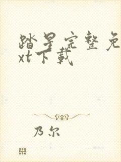 踏星完整免费txt下载