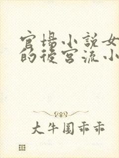 官场小说女主多的后宫流小说