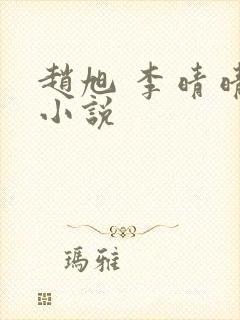 赵旭 李晴晴 小说