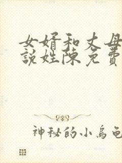 女婿和丈母娘小说姓陈免费阅读