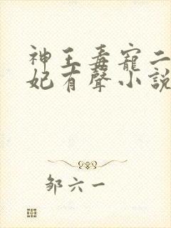 神王毒宠二嫁王妃有声小说完整