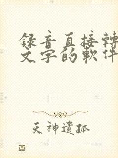 录音直接转化成文字的软件