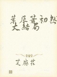 叶辰萧初然最新 大结局