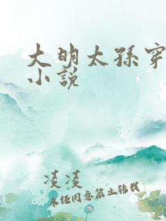 大明太孙穿越的小说