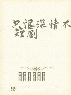 只恨深情不识鸢 短剧