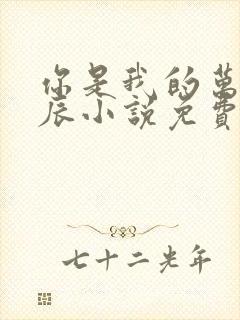 你是我的万千星辰小说免费听书