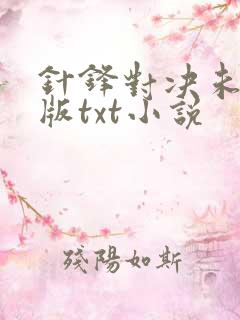 针锋对决未删减版txt小说
