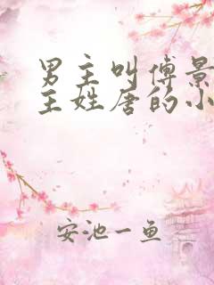 男主叫傅景琛女主姓唐的小说