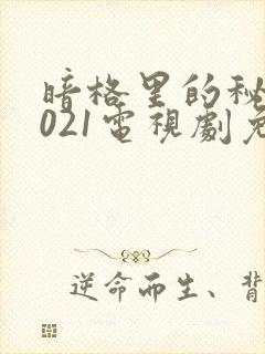 暗格里的秘密2021电视剧免费观看