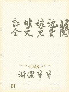 许明婉沈昭小说全文免费阅读