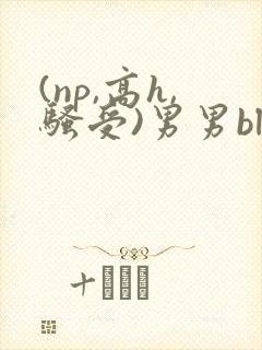(np,高h,骚受)男男bl